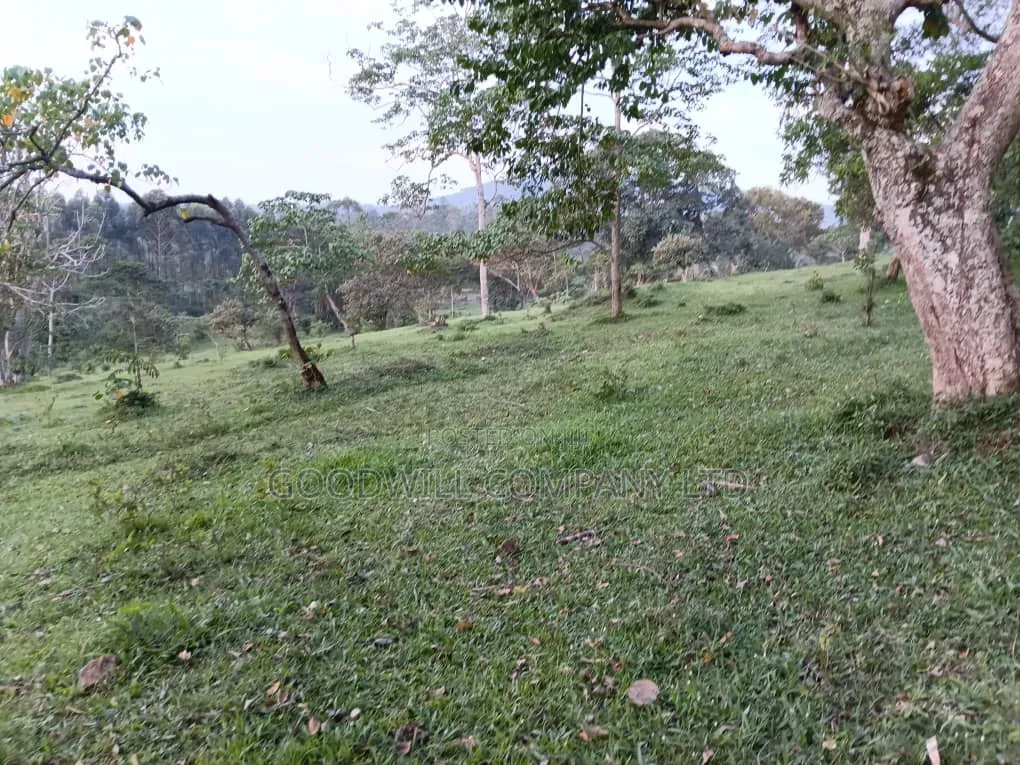 20 Acres of Farm Land for Sale in Bisheshe Ibanda Municipality in Central Division