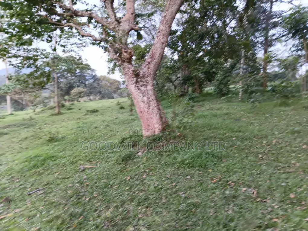 20 Acres of Farm Land for Sale in Bisheshe Ibanda Municipality in Central Division