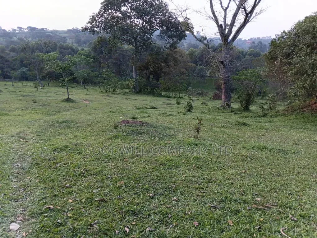 20 Acres of Farm Land for Sale in Bisheshe Ibanda Municipality in Central Division