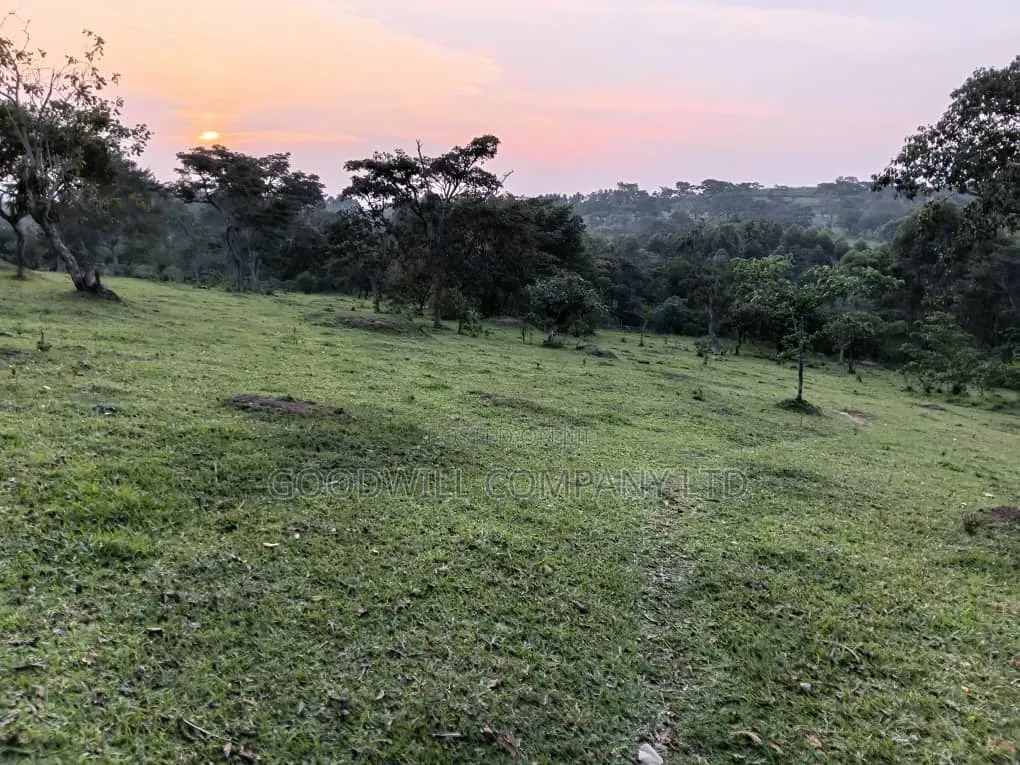 20 Acres of Farm Land for Sale in Bisheshe Ibanda Municipality in Central Division