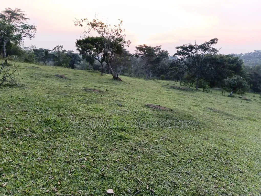 20 Acres of Farm Land for Sale in Bisheshe Ibanda Municipality in Central Division
