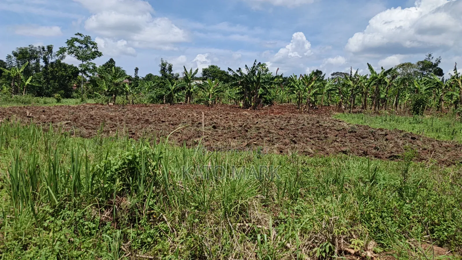 120 Acres for Sale Located at Kayunga Kitwe in Mukono TC