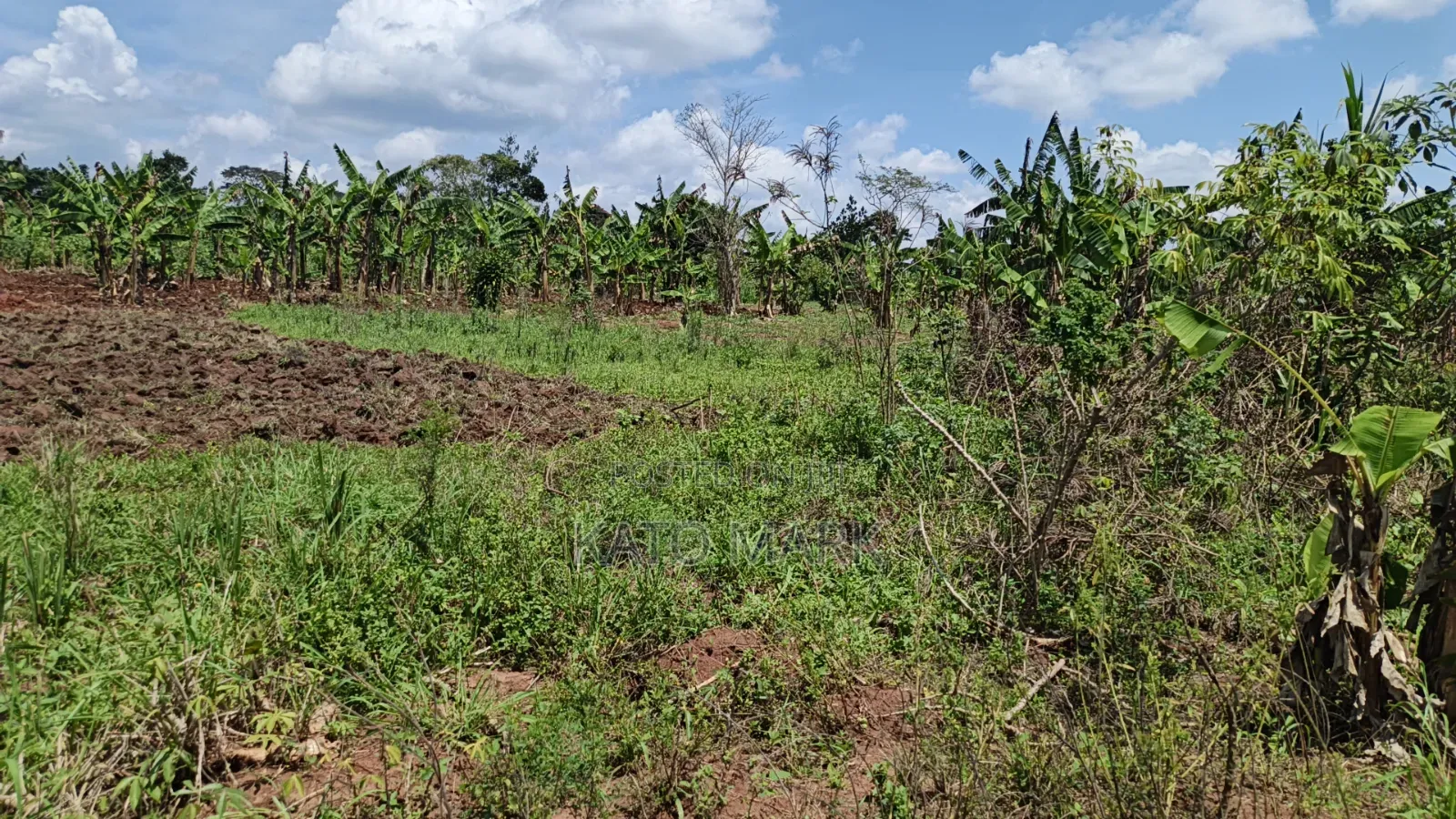 120 Acres for Sale Located at Kayunga Kitwe in Mukono TC