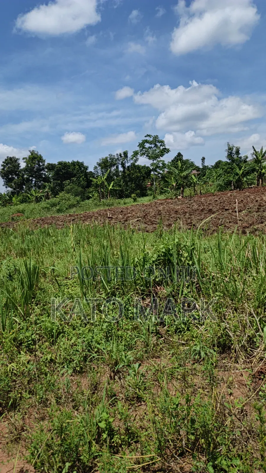 120 Acres for Sale Located at Kayunga Kitwe in Mukono TC