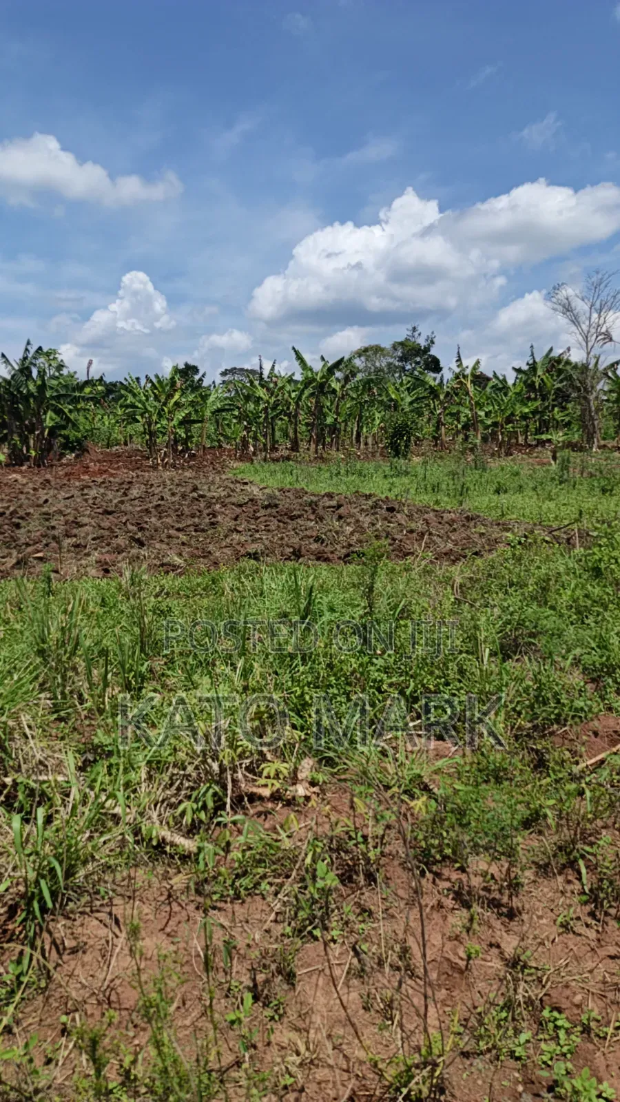 120 Acres for Sale Located at Kayunga Kitwe in Mukono TC
