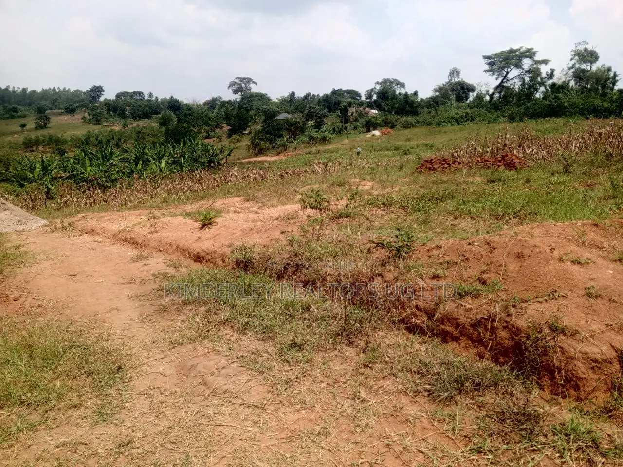 Land for Sale – Matuga in Division A