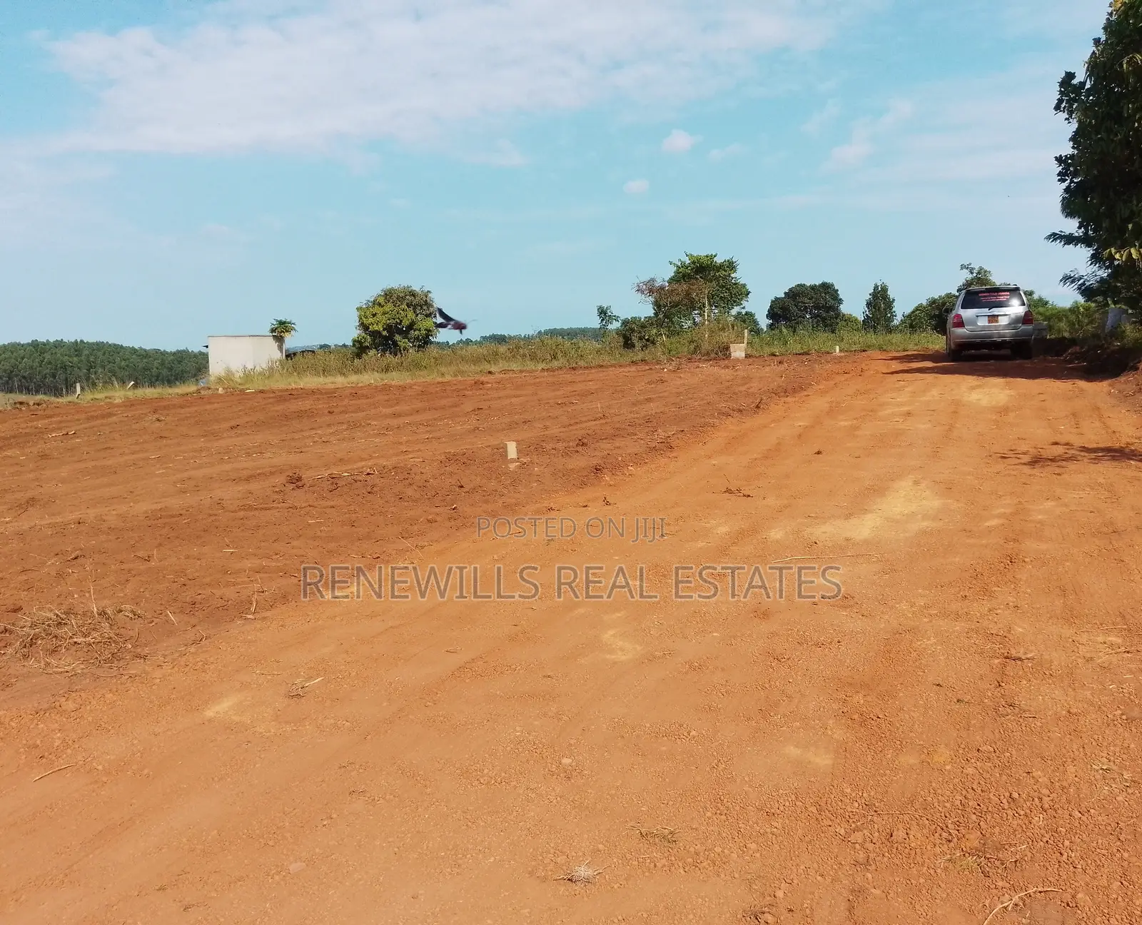 New Estate in Entebbe - Buwaya Sazi Titled 12 Decimals Near Road in Kasanje