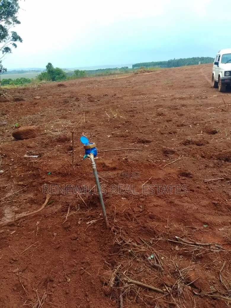 New Estate in Entebbe - Buwaya Sazi Titled 12 Decimals Near Road in Kasanje