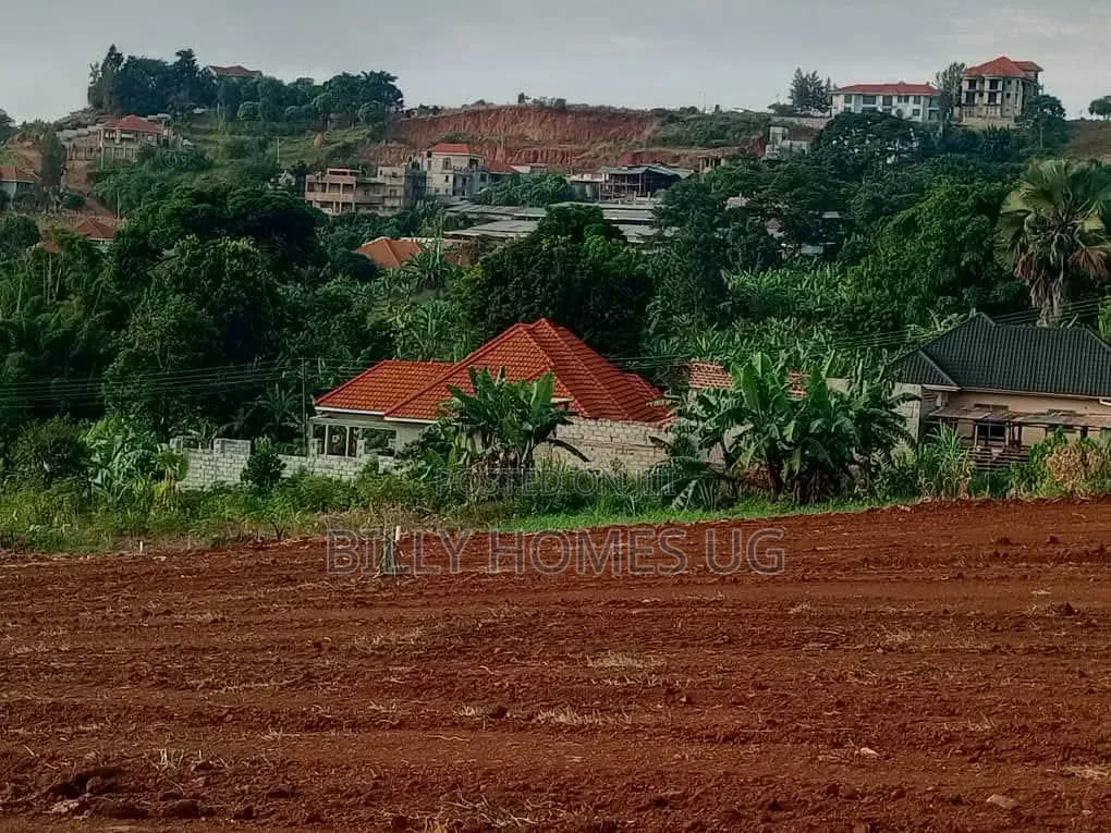 Prime Plots for Sale in Akright Estate in Ssisa