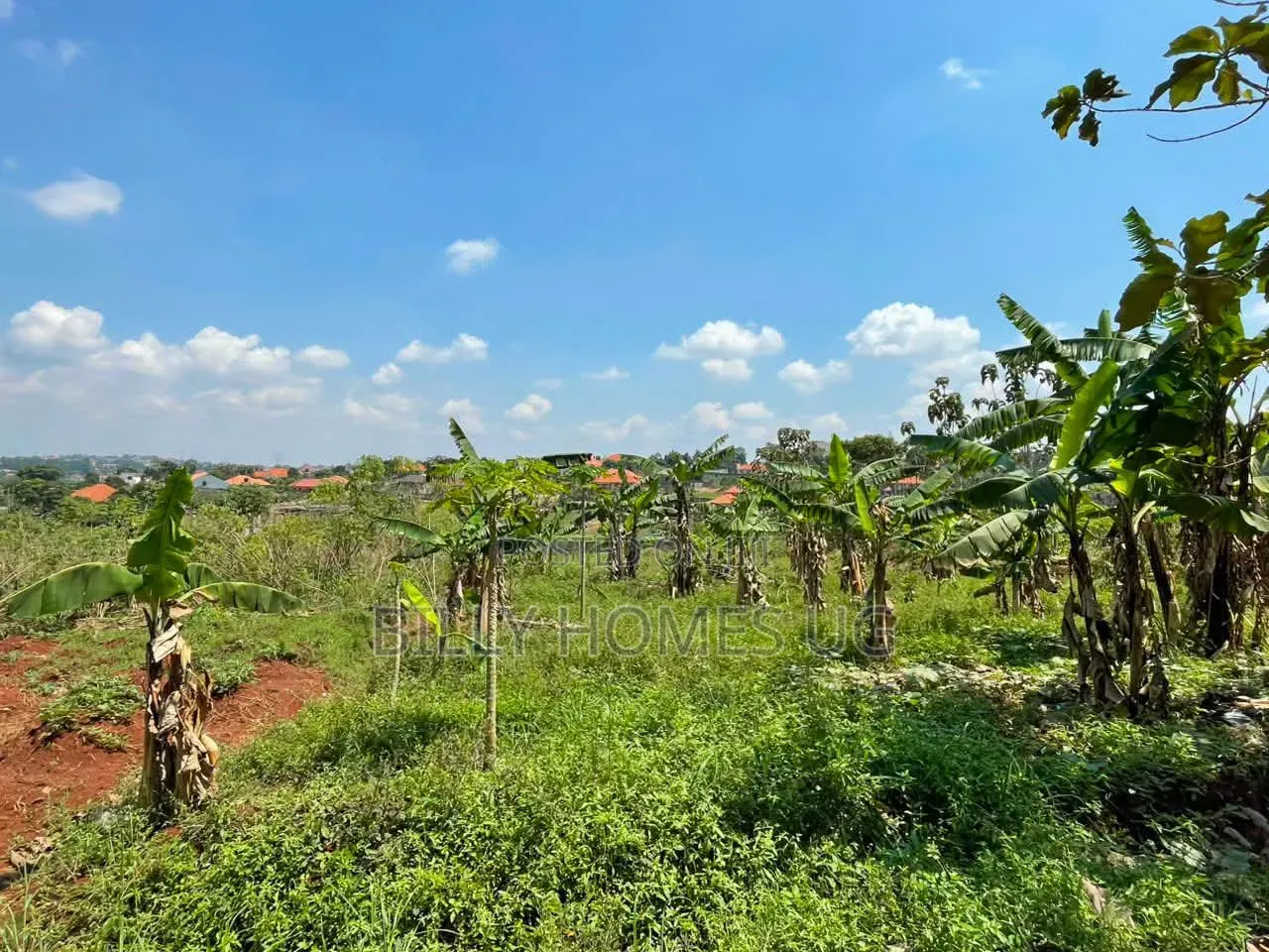 Plot for Sale Located in Kira-Kimwanyi in Kira