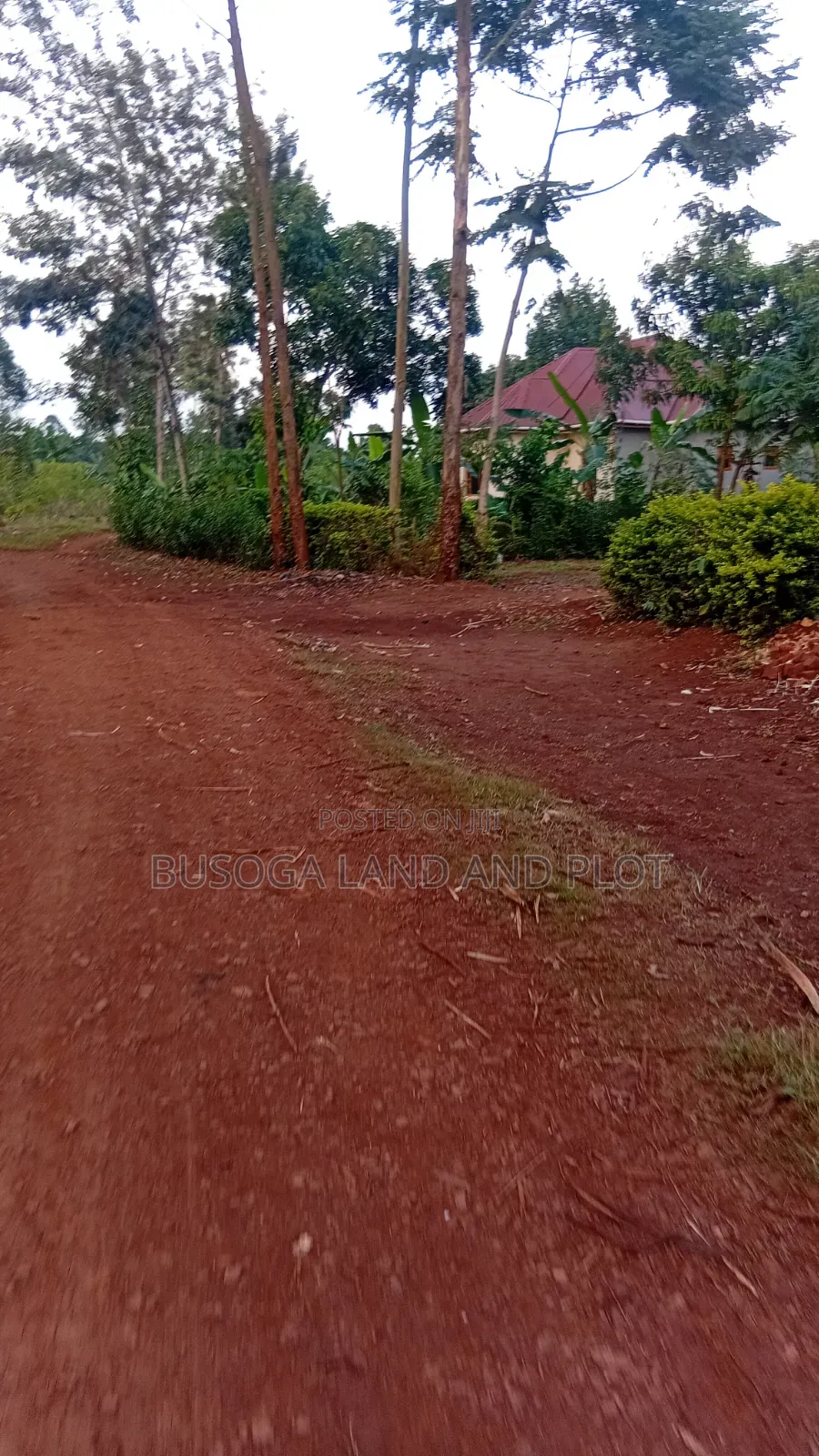 50 × 130ft Freehold Titled, Namizi Budondo, Jinja North in Jinja