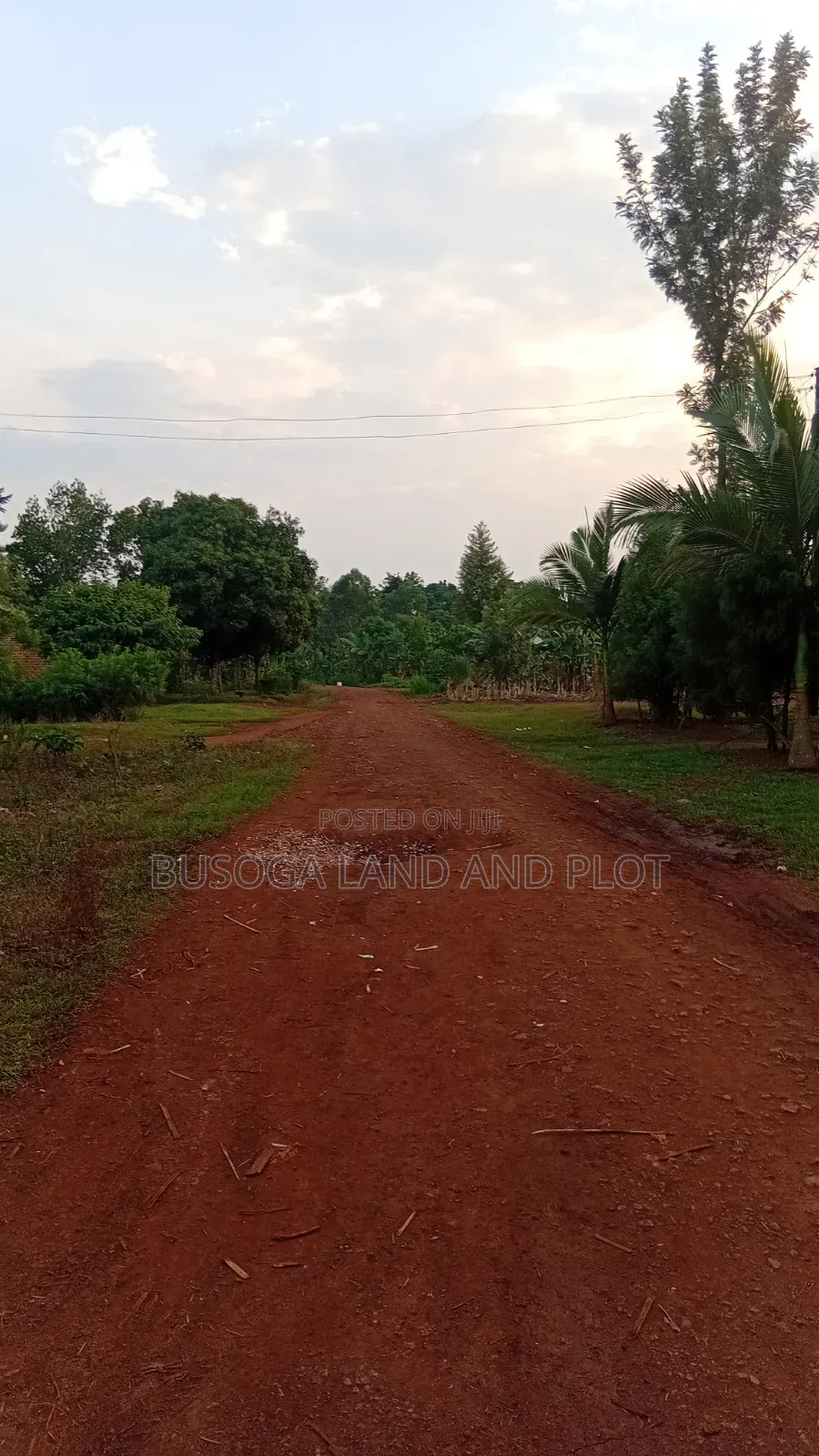 50 × 130ft Freehold Titled, Namizi Budondo, Jinja North in Jinja