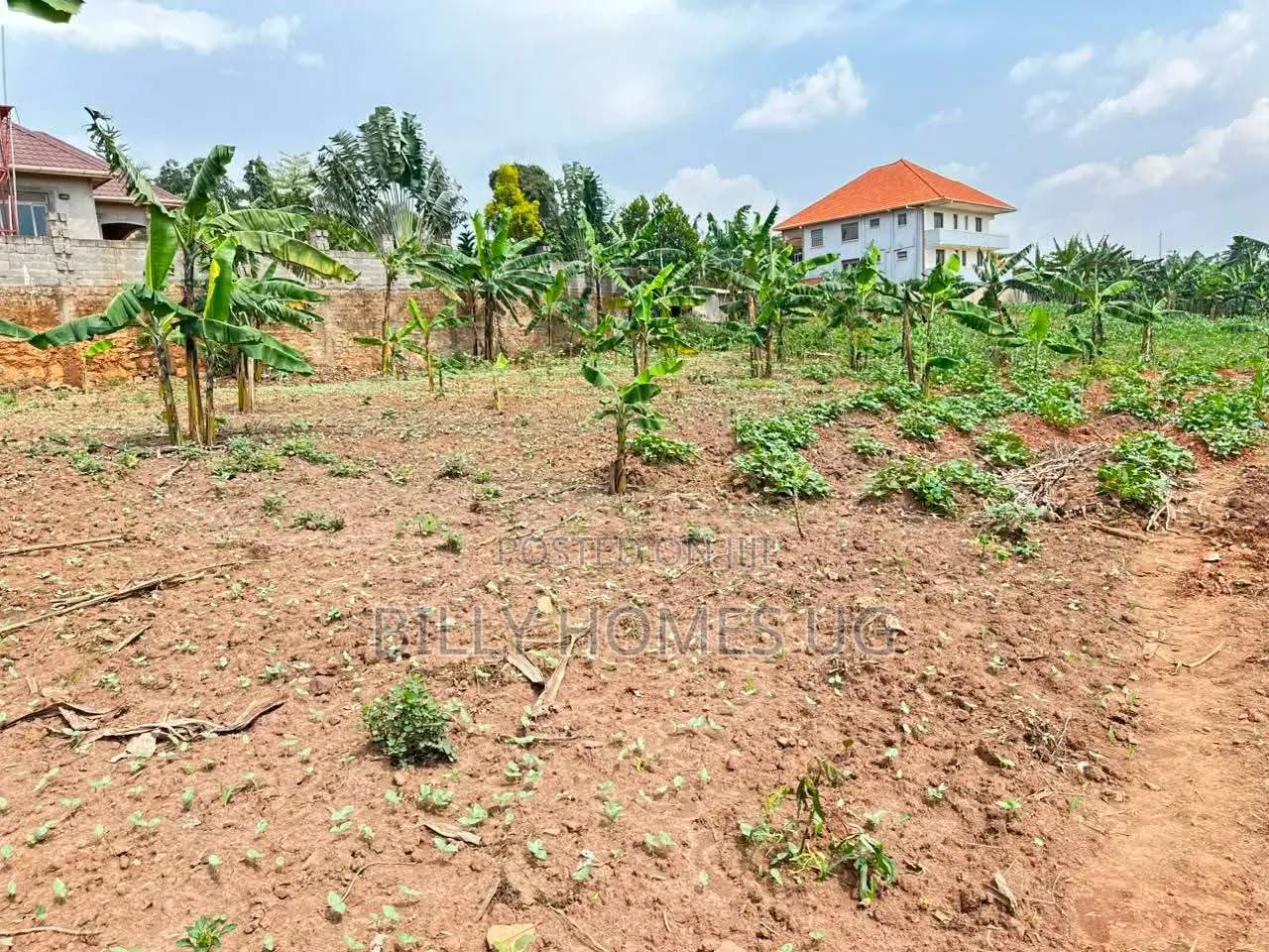 Prime Plot for Sale Located in Kira-Mulawa in Kira