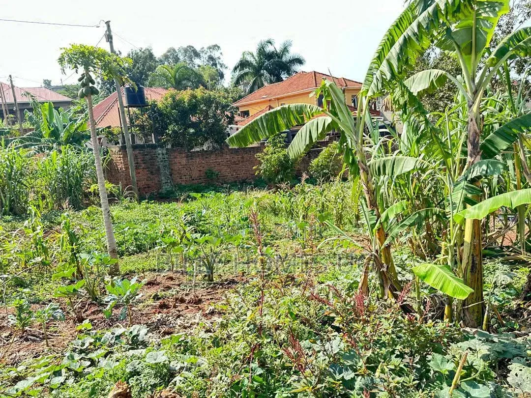 Prime Plot for Sale Located in Kira-Nsasa in Kira