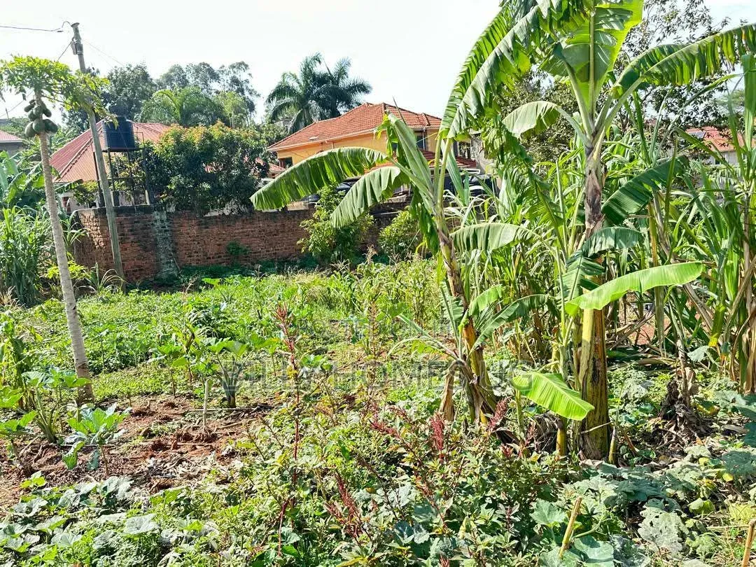 Prime Plot for Sale Located in Kira-Nsasa in Kira