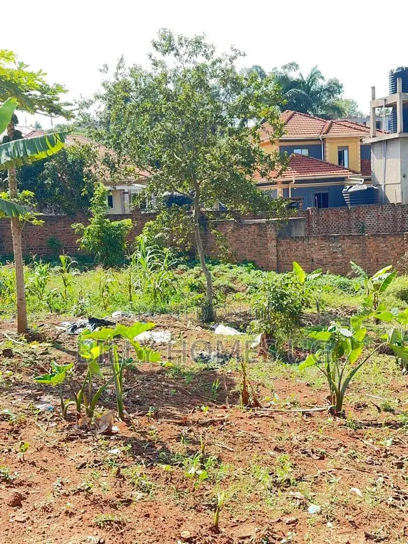 Prime Plot for Sale Located in Kira-Nsasa in Kira