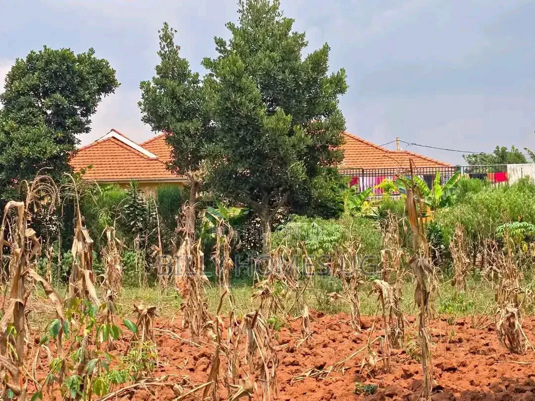 QuickSale Plot Located in Kira-Kiwologoma in Kira
