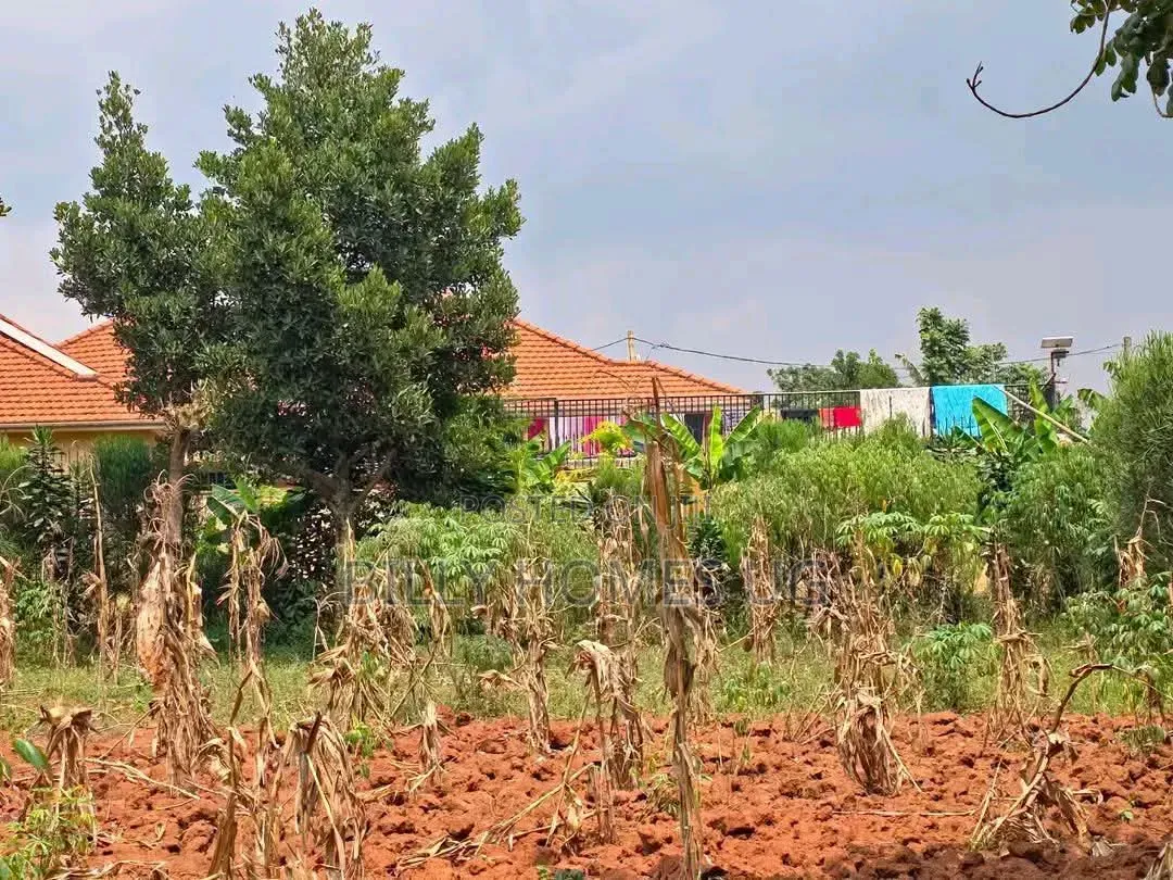 QuickSale Plot Located in Kira-Kiwologoma in Kira