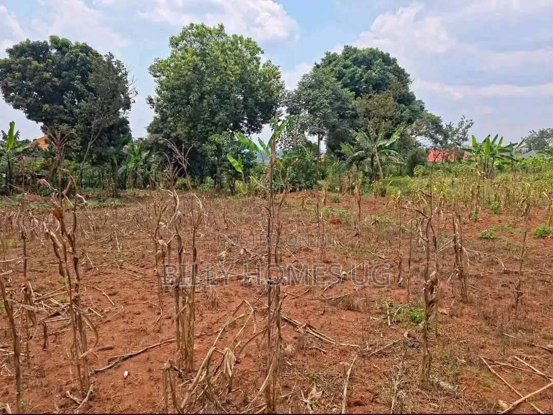 QuickSale Plot Located in Kira-Kiwologoma in Kira