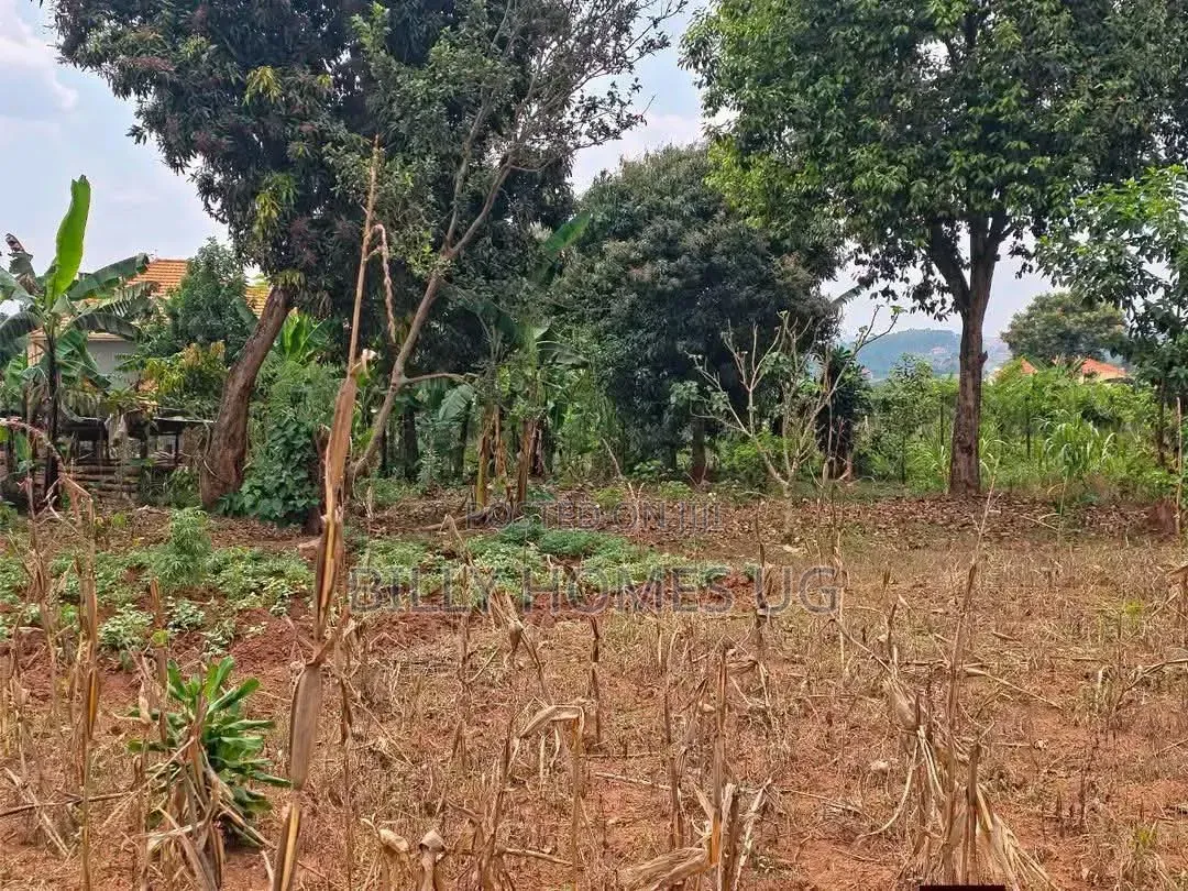 QuickSale Plot Located in Kira-Kiwologoma in Kira