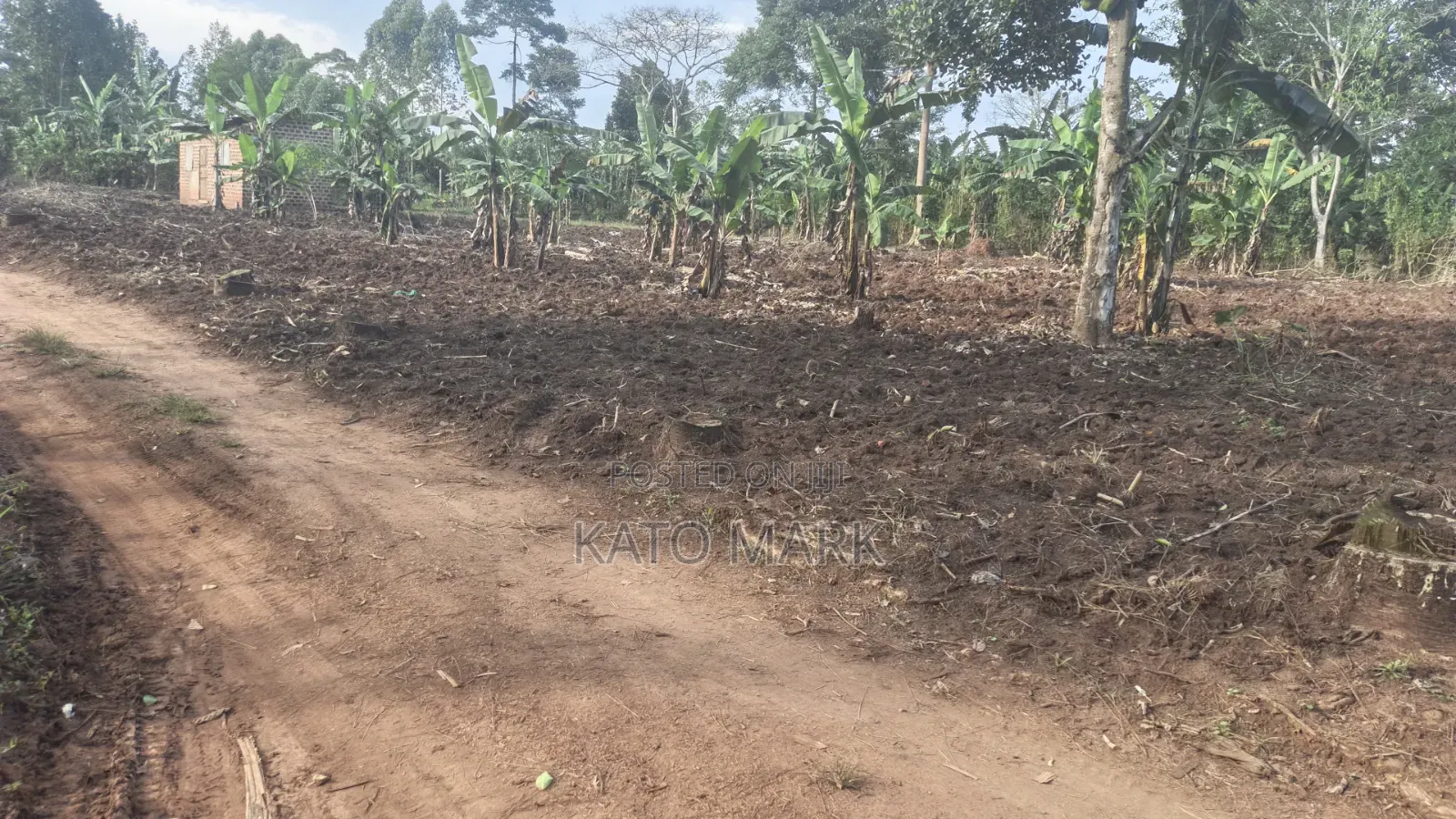 300 Acres for Sale Located at Kayunga Balla in Mukono TC