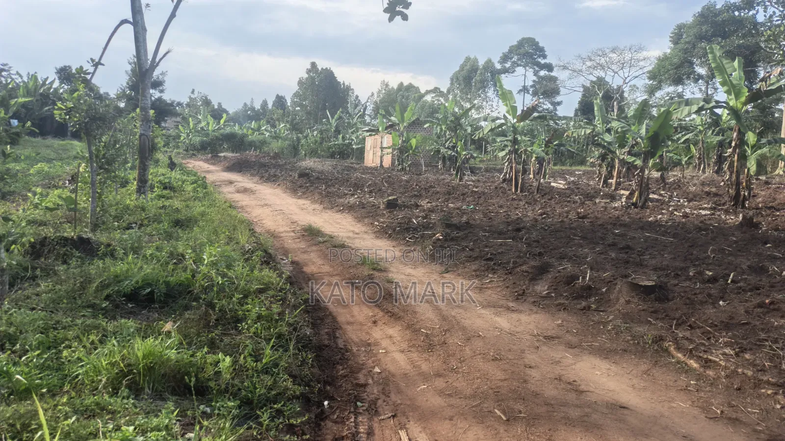 300 Acres for Sale Located at Kayunga Balla in Mukono TC