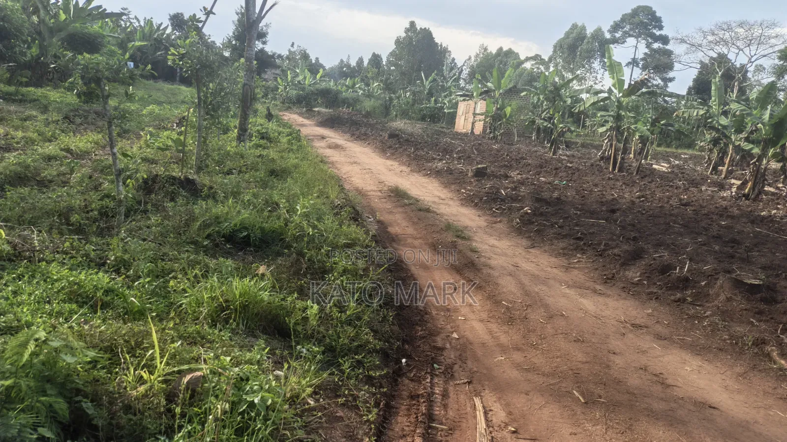 300 Acres for Sale Located at Kayunga Balla in Mukono TC