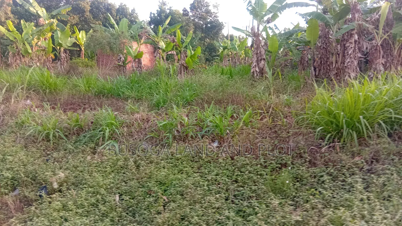 50×120Ft Highway Front, Buloba, Wakisi Division in Kangulumira