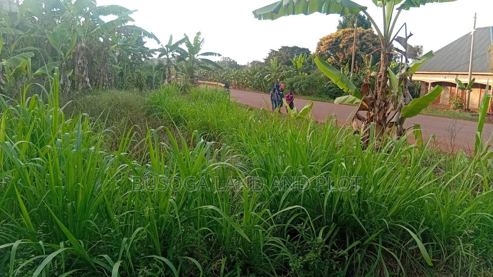 50×120Ft Highway Front, Buloba, Wakisi Division in Kangulumira