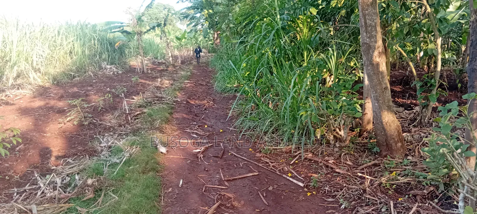 Prime 150×180 Ft, Petrol Station Land in Malindi, Wakisi Division in Kangulumira