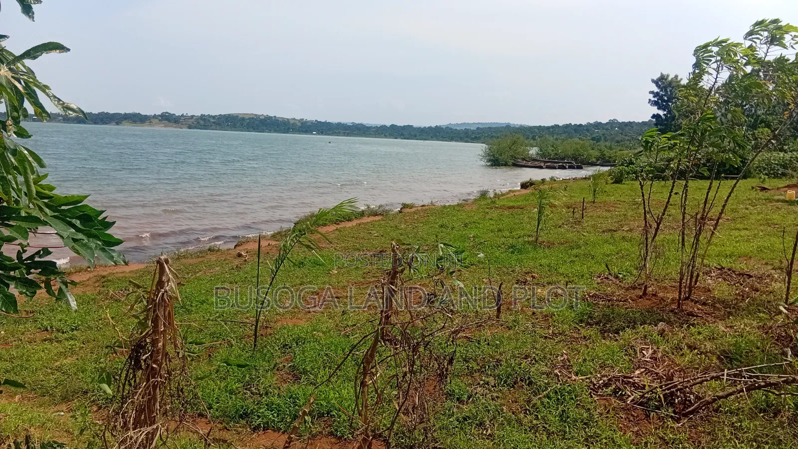 1.5 Acres of Prime L. Victoria Frontage, Nyenga Division,Njeru Municip in Ntenjeru / Mukono