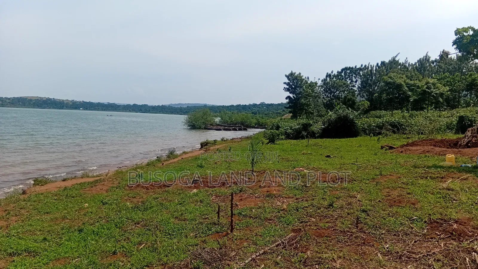 1.5 Acres of Prime L. Victoria Frontage, Nyenga Division,Njeru Municip in Ntenjeru / Mukono