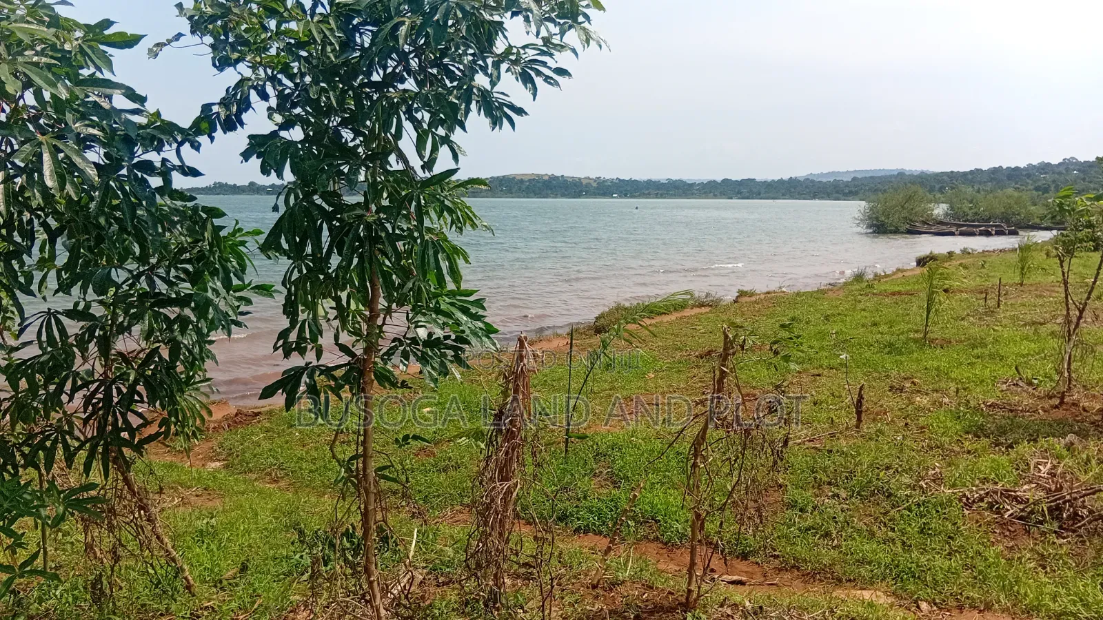 1.5 Acres of Prime L. Victoria Frontage, Nyenga Division,Njeru Municip in Ntenjeru / Mukono