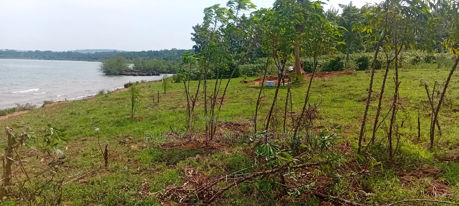 1.5 Acres of Prime L. Victoria Frontage, Nyenga Division,Njeru Municip in Ntenjeru / Mukono