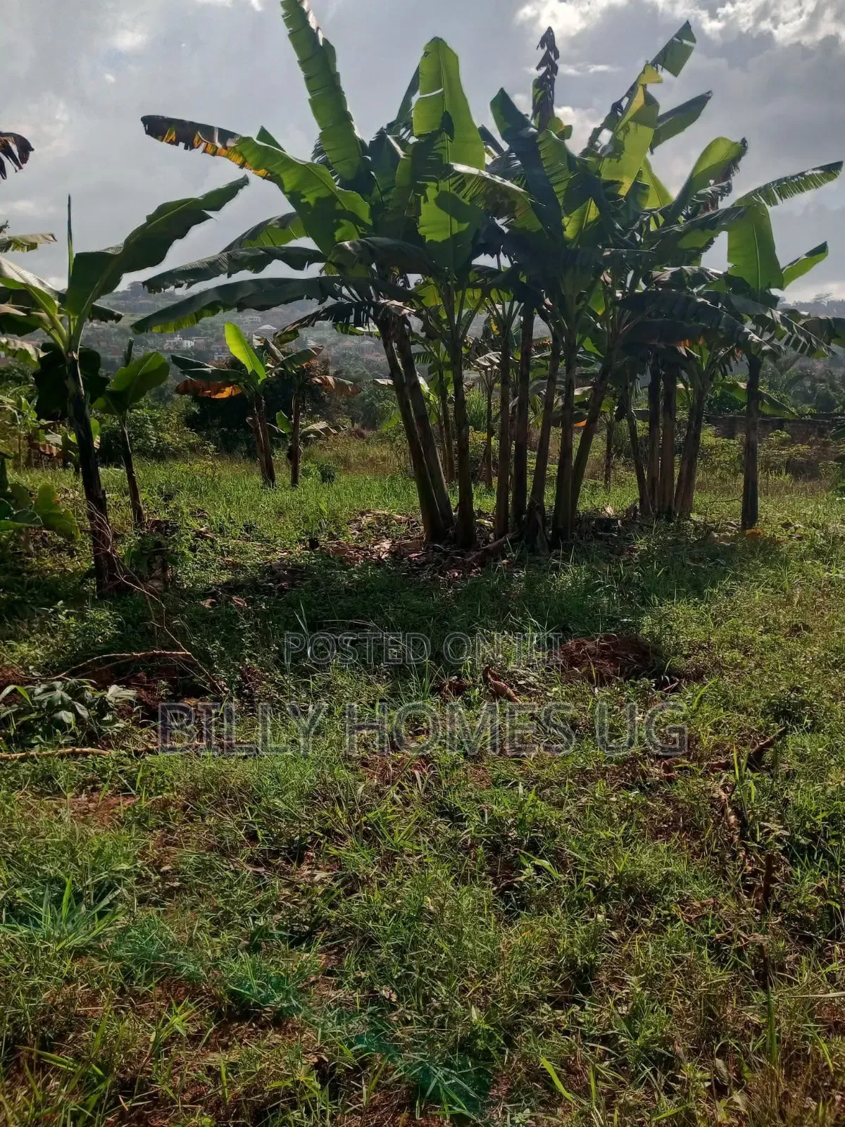Prime Plot for Sale Located in Akright-Bwebajja in Ssisa