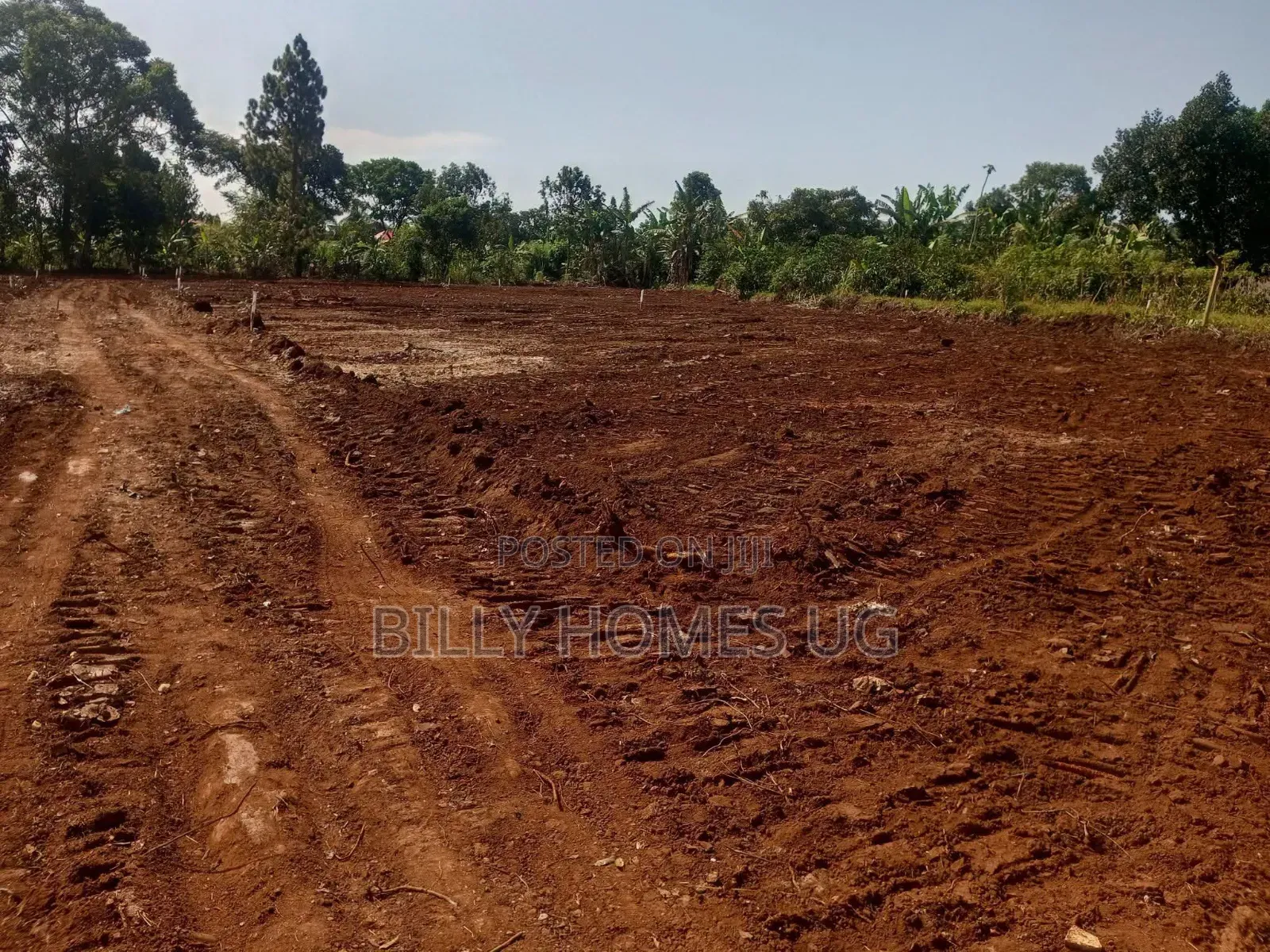 Estate Plots for Sale in Kitende in Ssisa