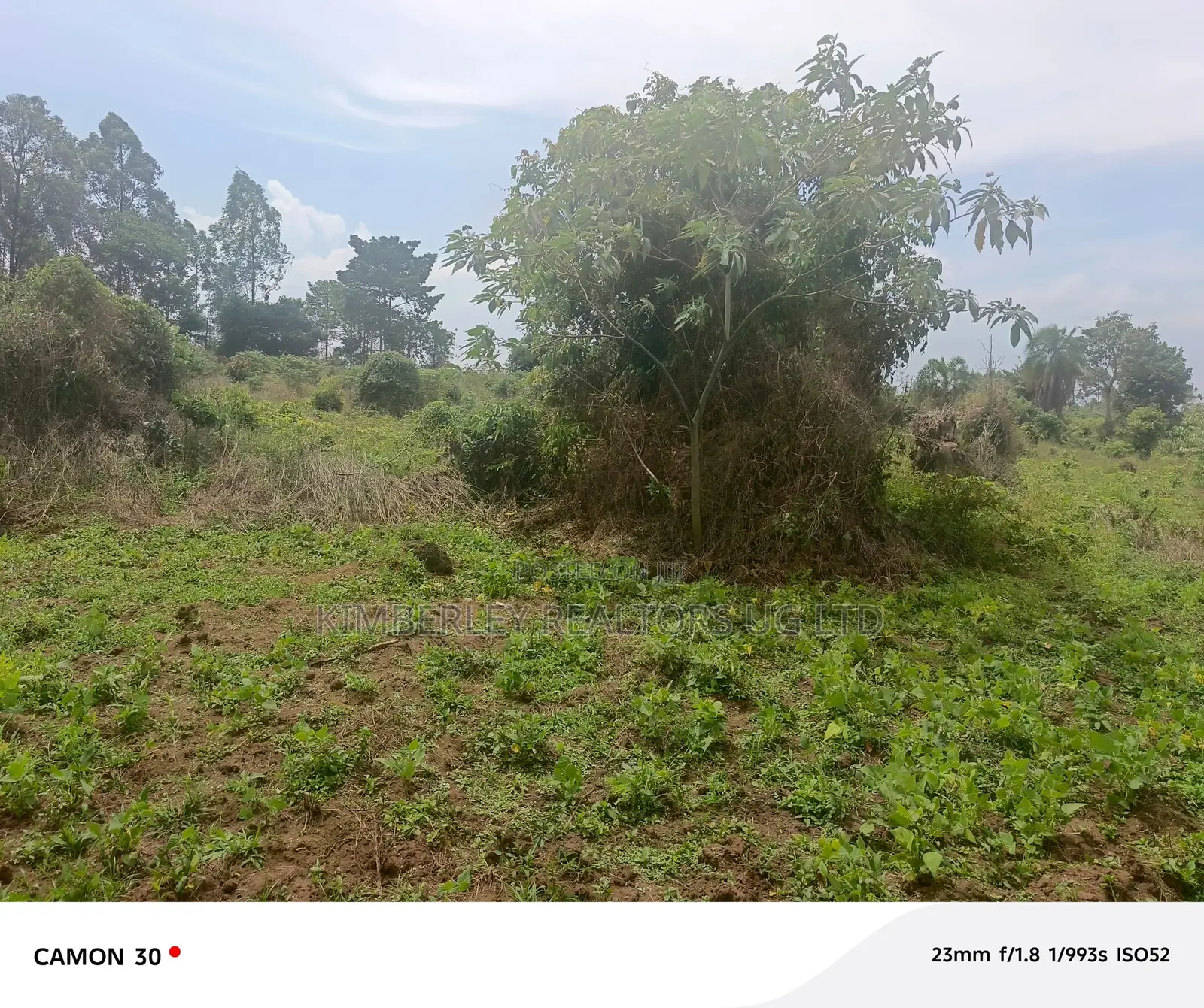 Farmland for Sale – Masaka Kasaka in Kimanya