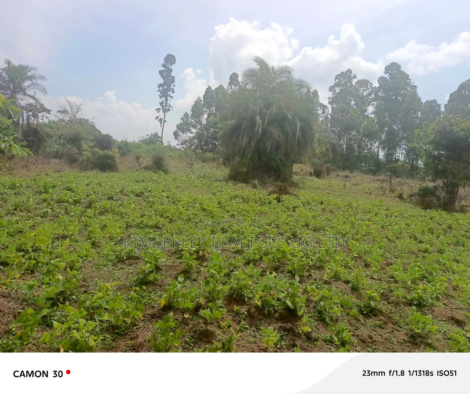 Farmland for Sale – Masaka Kasaka in Kimanya