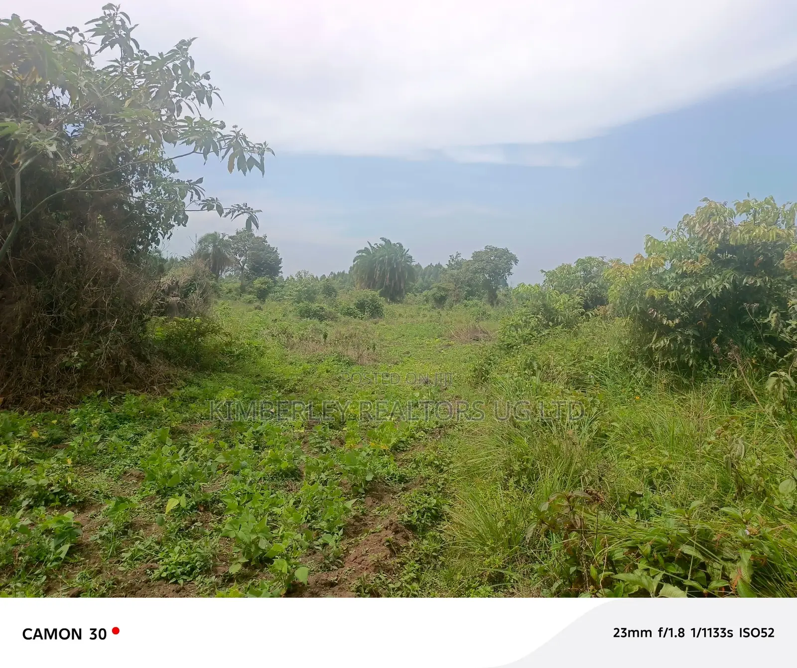 Farmland for Sale – Masaka Kasaka in Kimanya