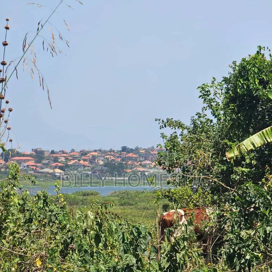 Lakeview Plots for Sale Located in Lutembe-Namulanda in Ssisa