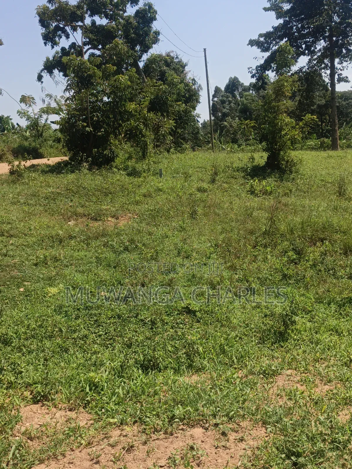 Plots Available on Sale in Kiwenda in Division A