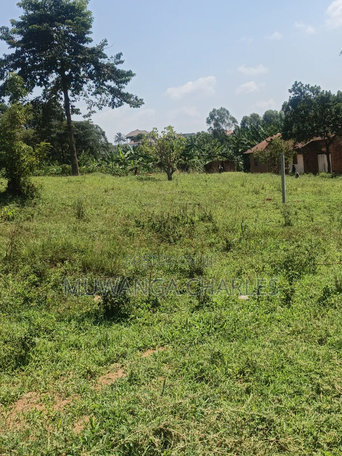 Plots Available on Sale in Kiwenda in Division A