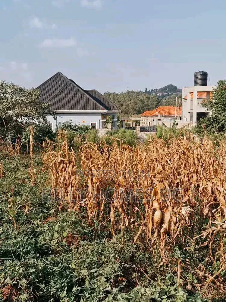 Plot for Sale Located in Kira-Nsasa in Kira