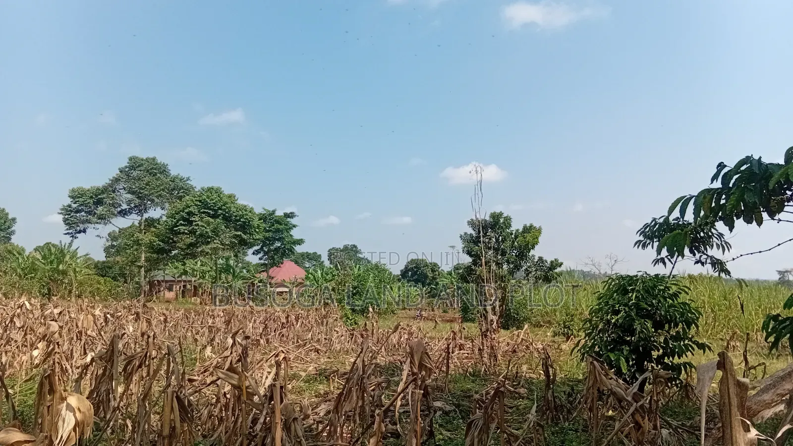 0.7 Acres Freehold Titled Land – Jinja City in Jinja
