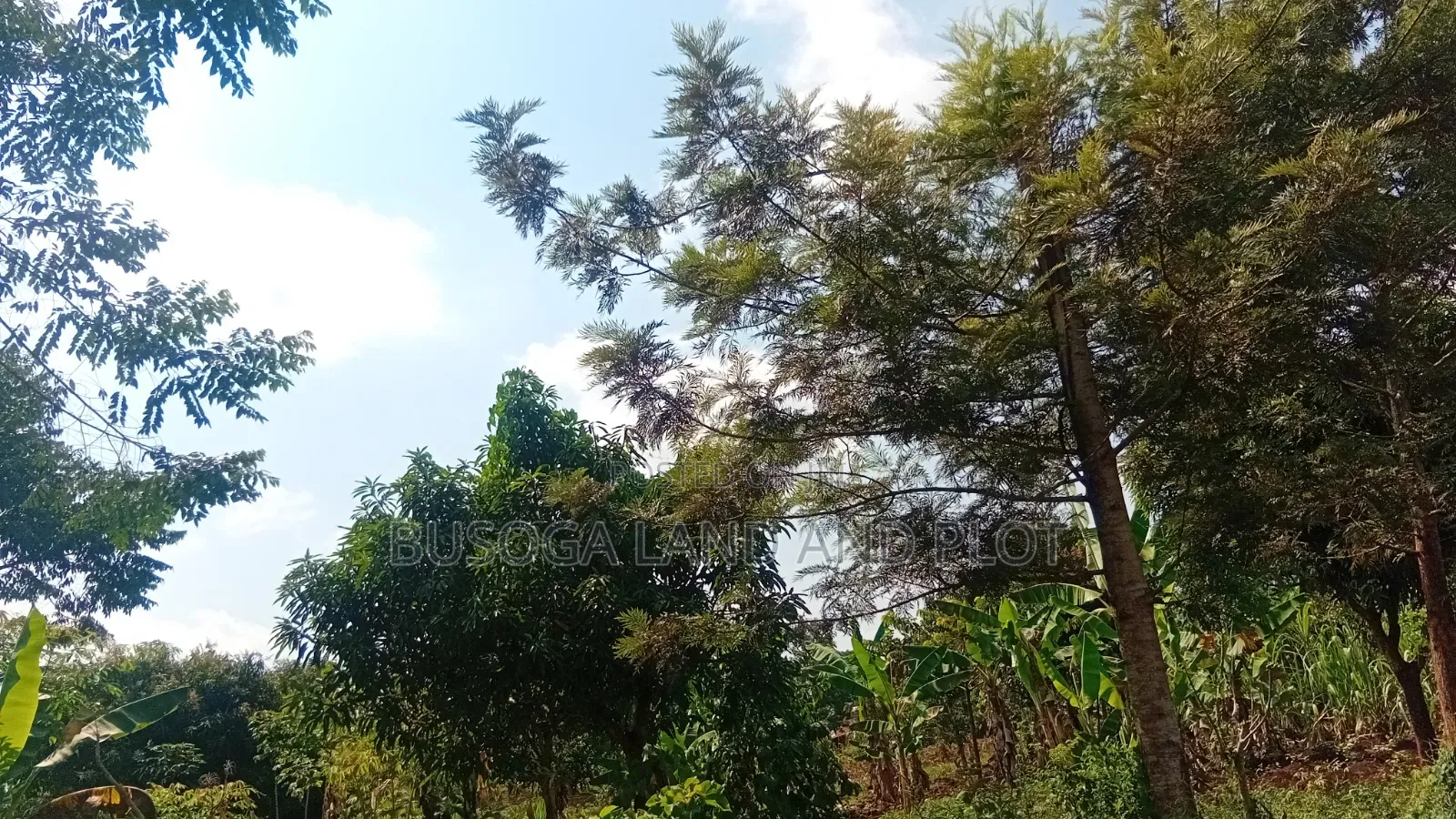 0.7 Acres Freehold Titled Land – Jinja City in Jinja