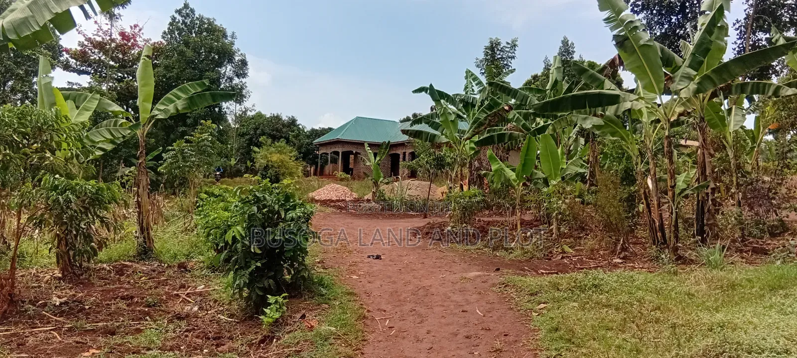 100×100 Ft Plot, Bujjagali, Jinja City at UGX 26m in Jinja