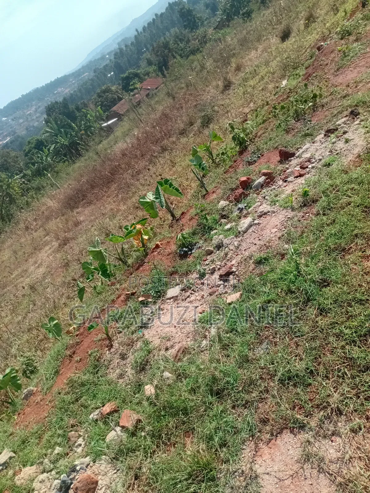Land for Sale in Wakiso / Wakiso
