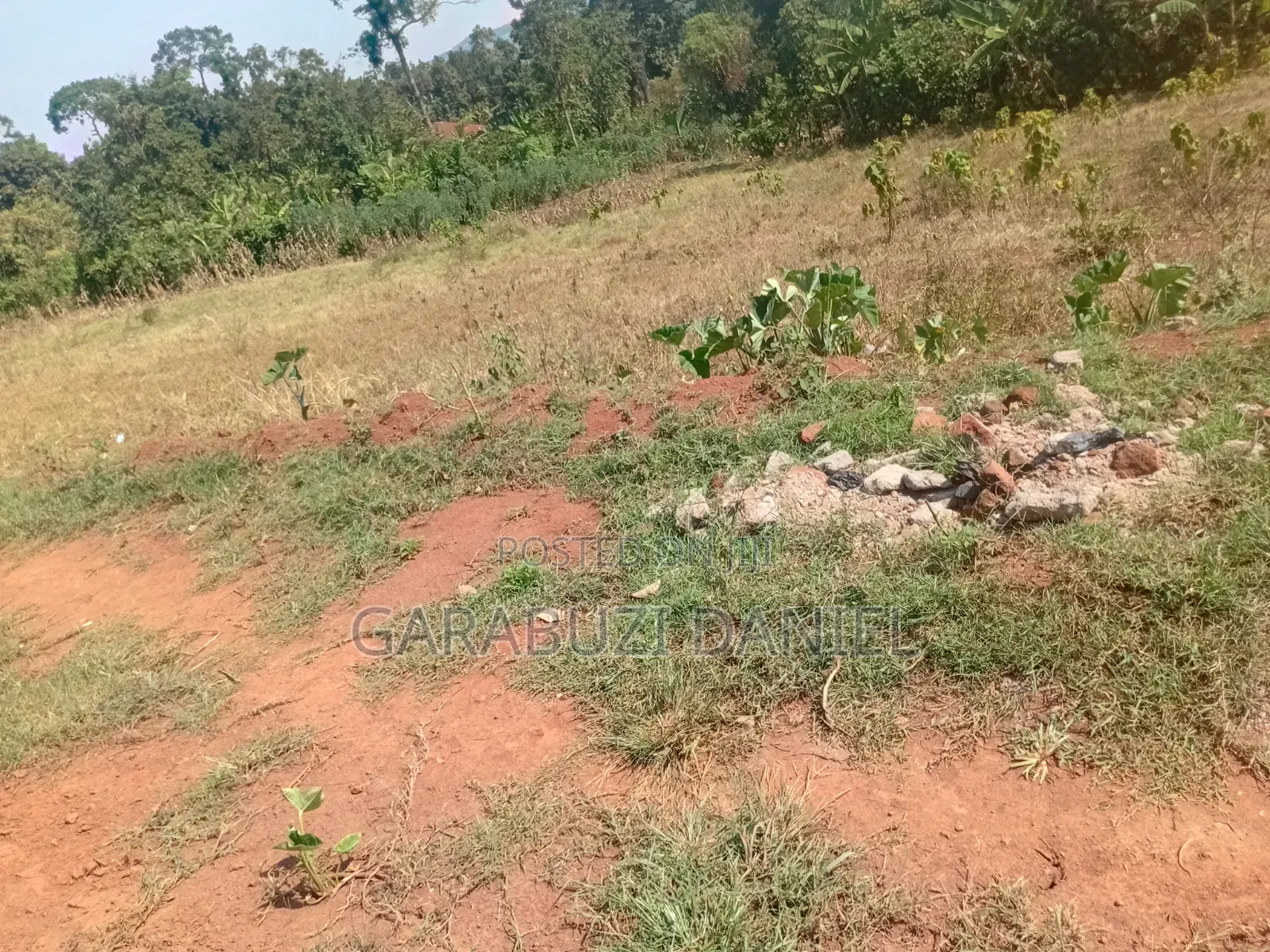 Land for Sale in Wakiso / Wakiso