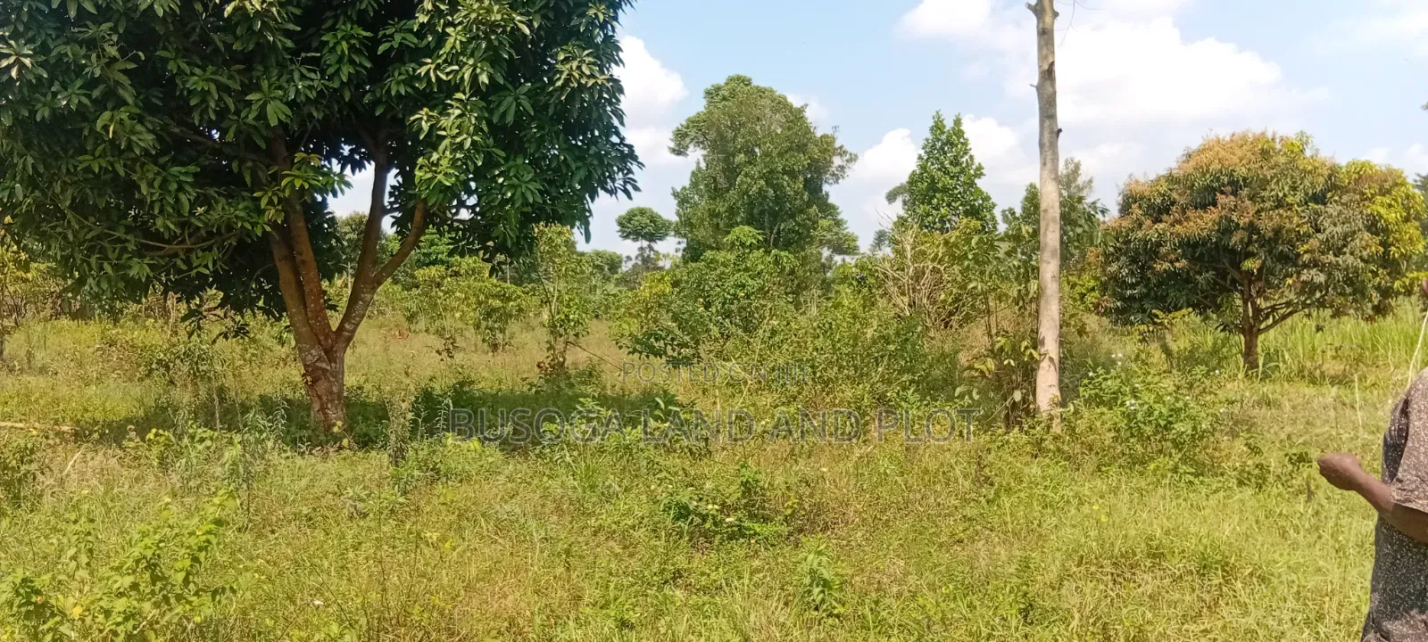 16 Acres for Sale – Just 600 Metres Off the Highway, Kiyunga Kamuli in Kamuli