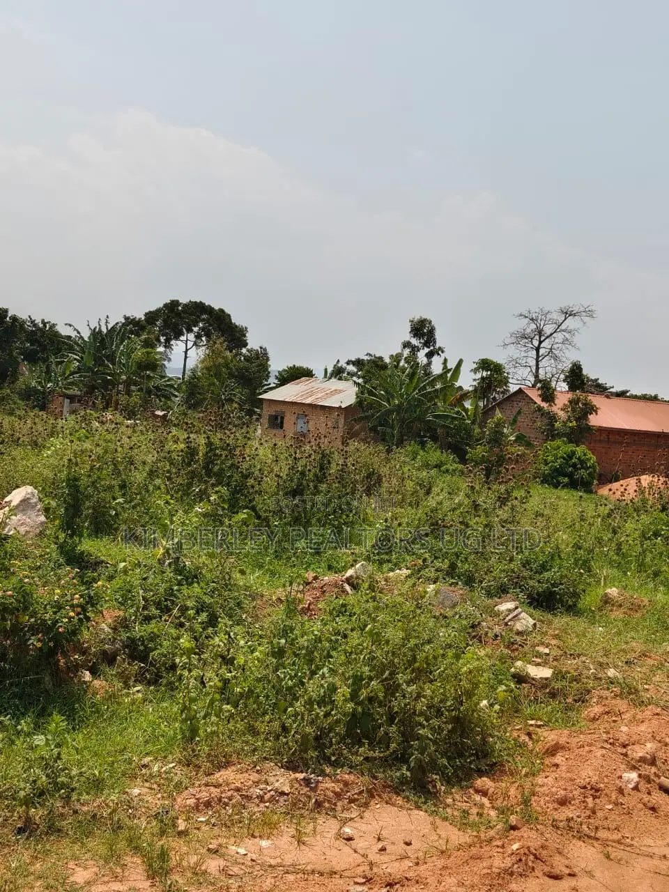 10 Acres of Prime Land for Sale – Busiika, Kakoni, Busoke in Division A